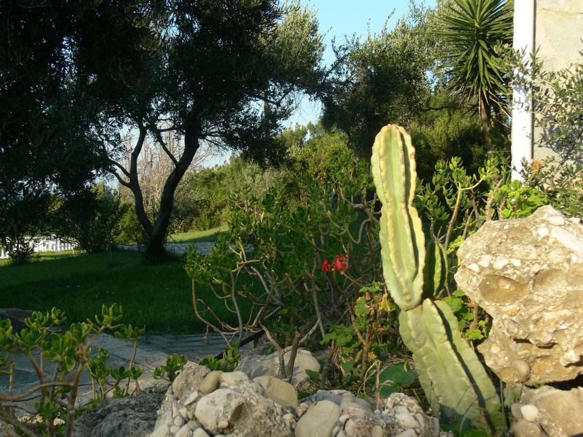 Villa Quietude Agios Stefanos Avliotes  Camera foto